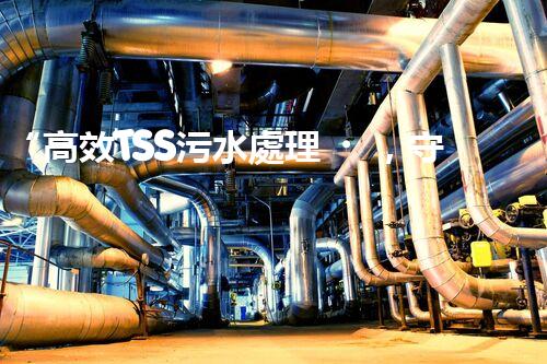 “高效TSS污水處理，守護碧水藍天新篇章”